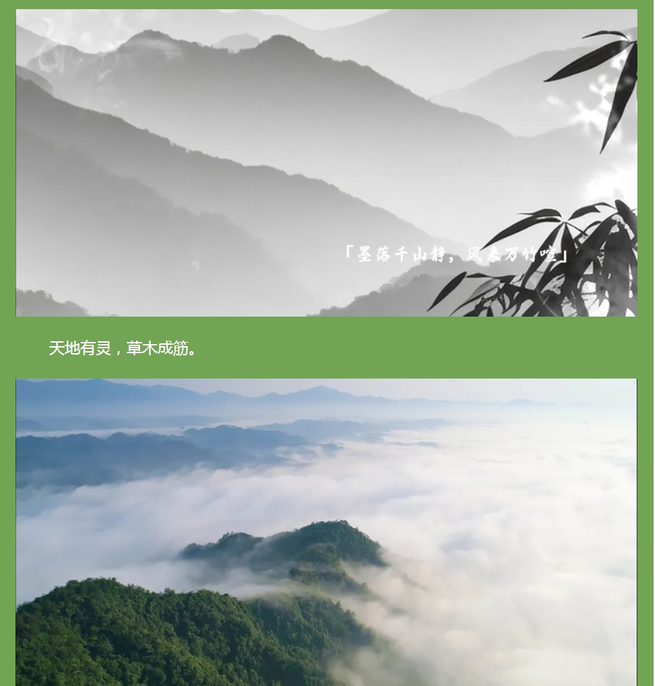 以竹為骨,筑就健康之境 —— 竹筋香韻凈化板 以竹為骨,筑就健康之境 —— 竹筋香韻凈化板